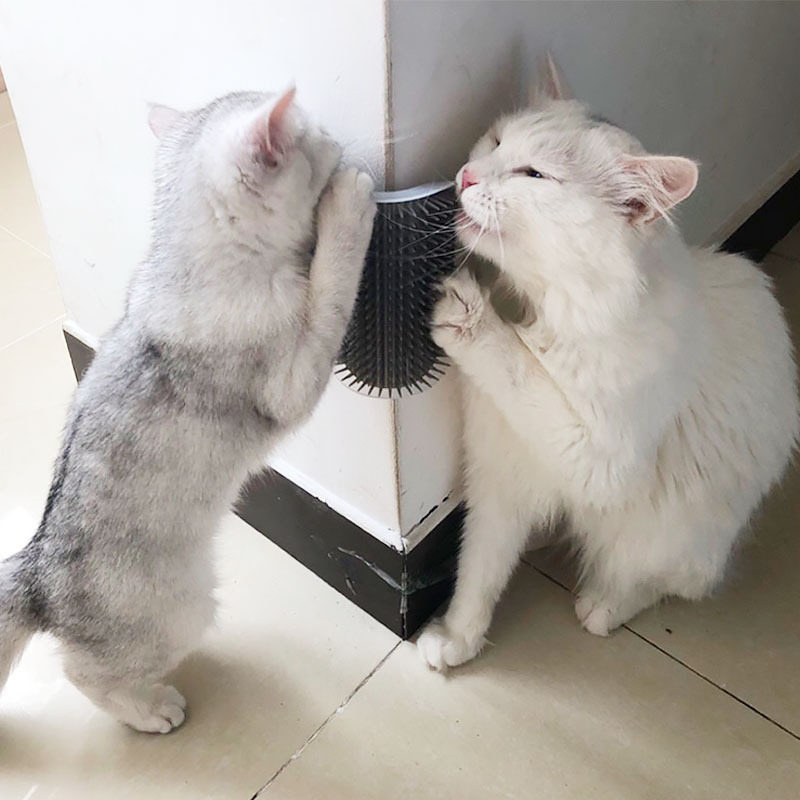 猫咪养猫联盟蹭毛挠痒玩具蹭痒宠物用品猫用蹭脸逗猫棒