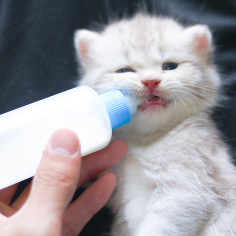 奶瓶宠物件套小猫奶嘴幼猫小狗喝奶猫咪饮水器