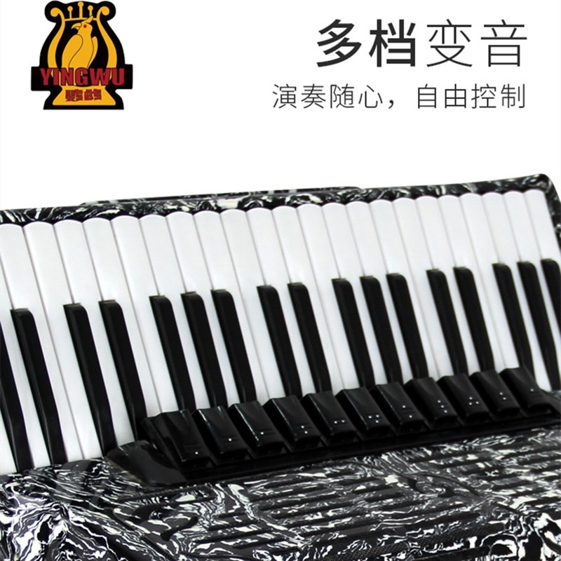 回声鹦鹉专业迷你四排贝斯yw852手风琴演奏手风琴