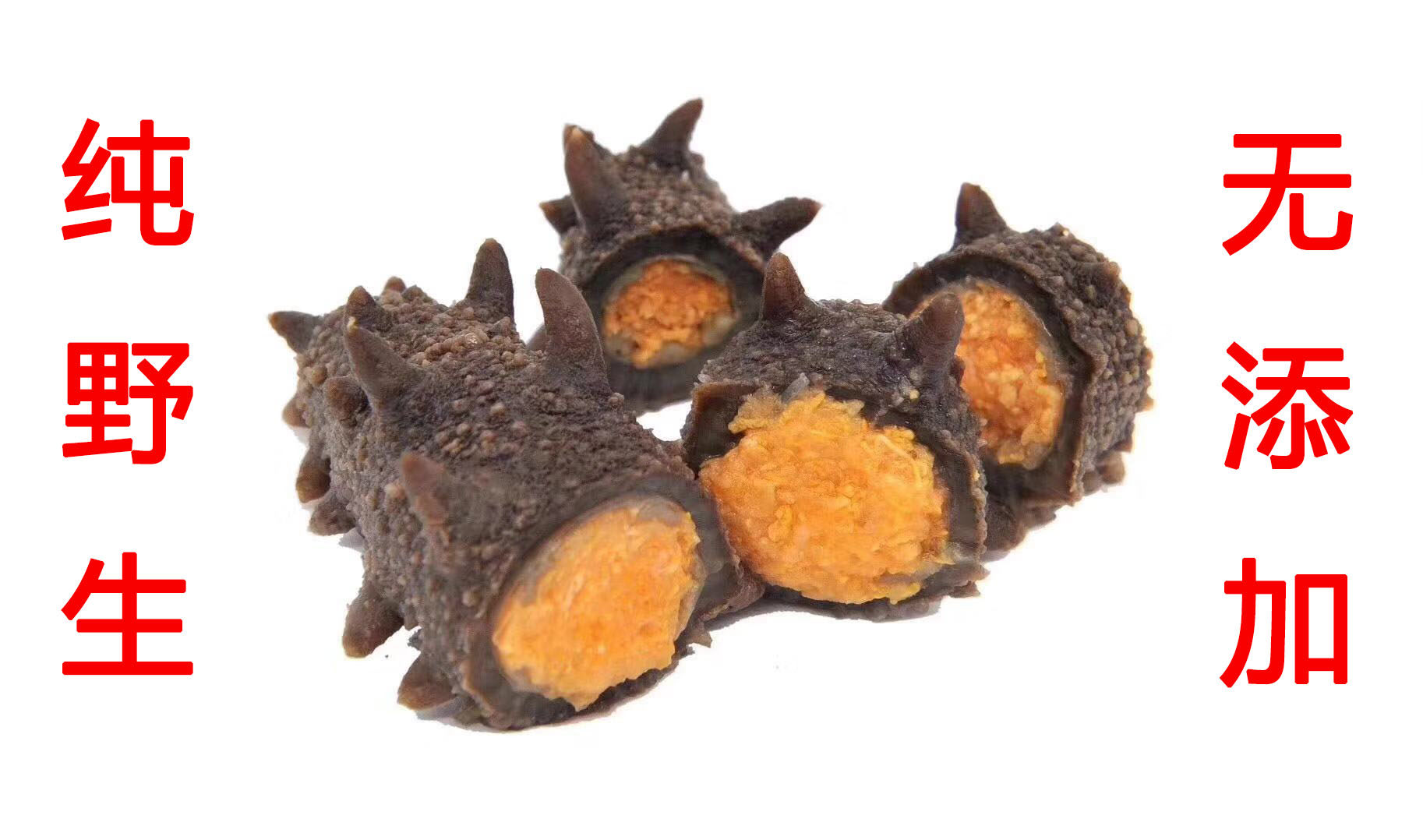 带籽海参8年高端野生原汁原味高压即食花卵参母海参