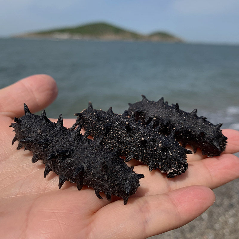 海参淡干大连500g干货野生非即7年特价海参