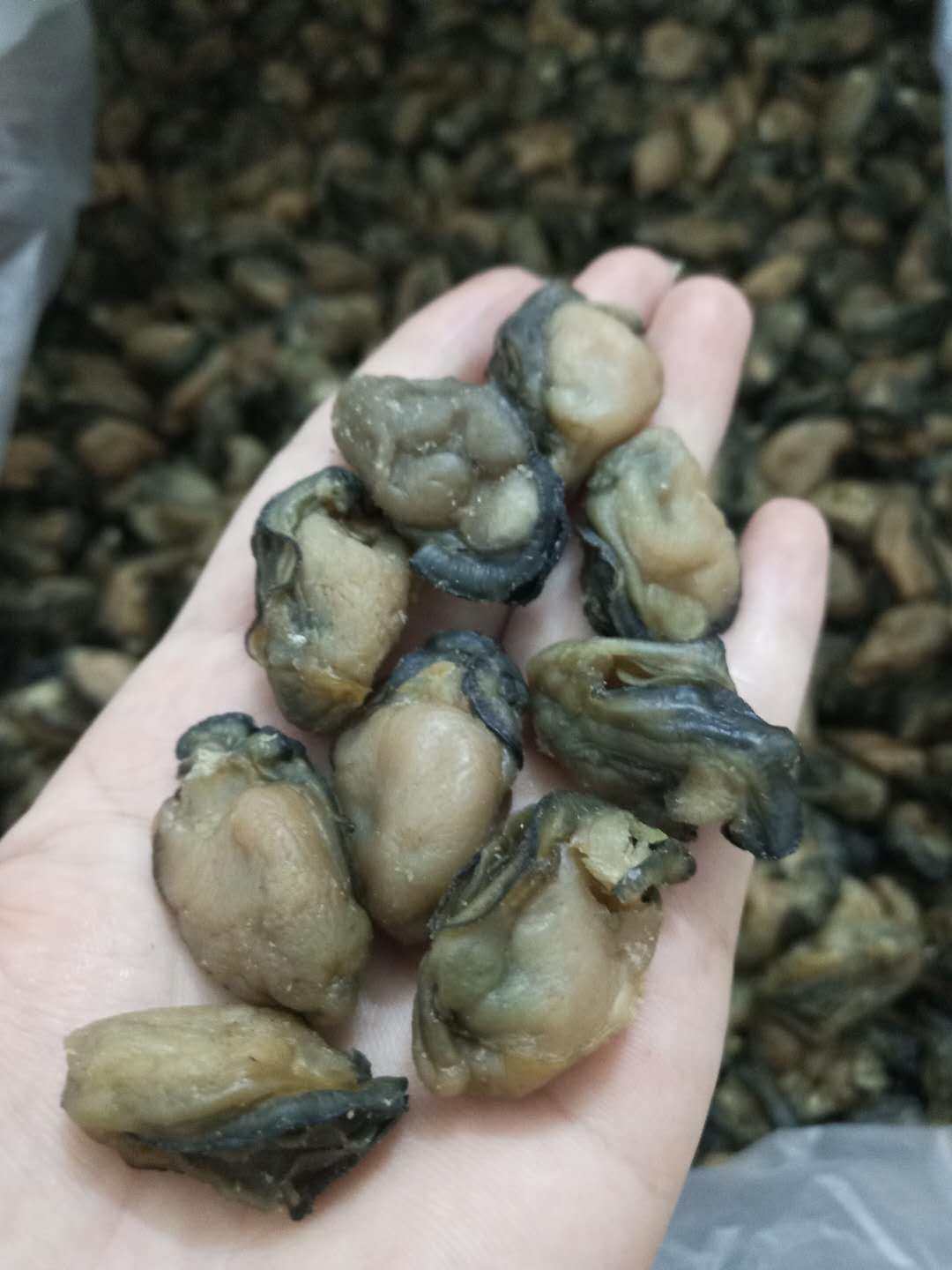 海南蚝干250g淡干生天然牡蛎干无抽油新货直销生蚝