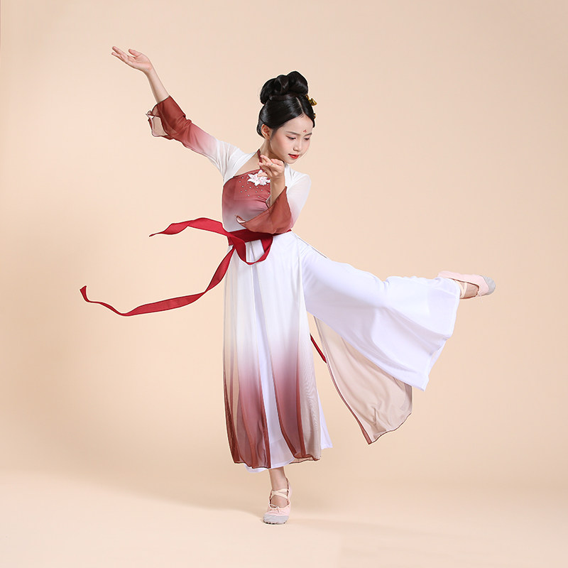 儿童古典舞演出服汉服飘逸古风民族舞练功服女童夏季扇子舞表演服