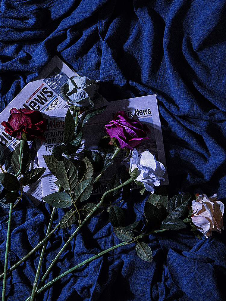 ins仿真单头绒布玫瑰花美食摄影摆拍装饰拍摄背景布类