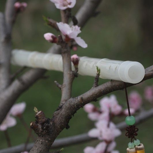 热卖高端考斯白玉笛横吹考级精制演奏入门初学标准音准白色白玉笛