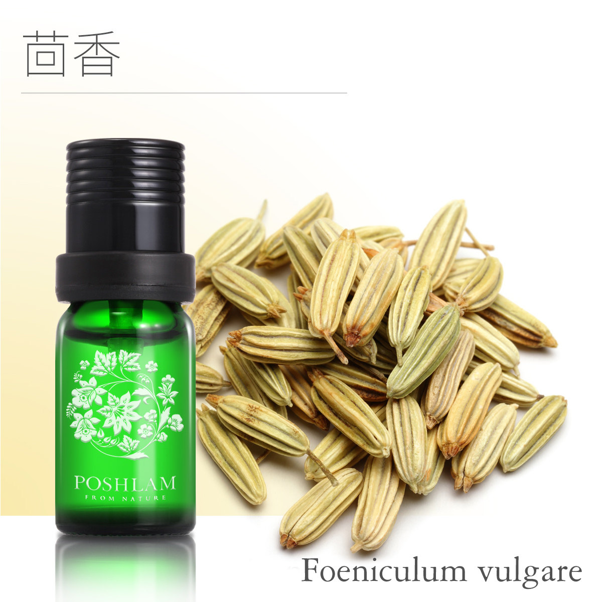 精油宝琪兰茴香香精油10ml紧致肌肤改善松弛单方单方精油