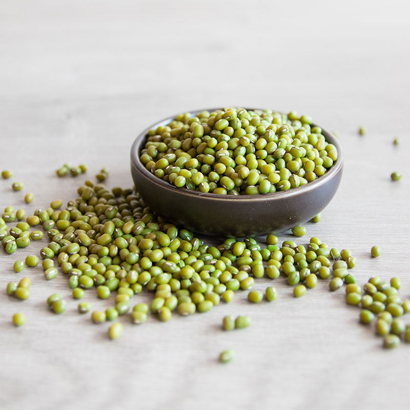 绿豆东北500g明绿豆绿小豆发芽农家自种五谷杂粮绿豆