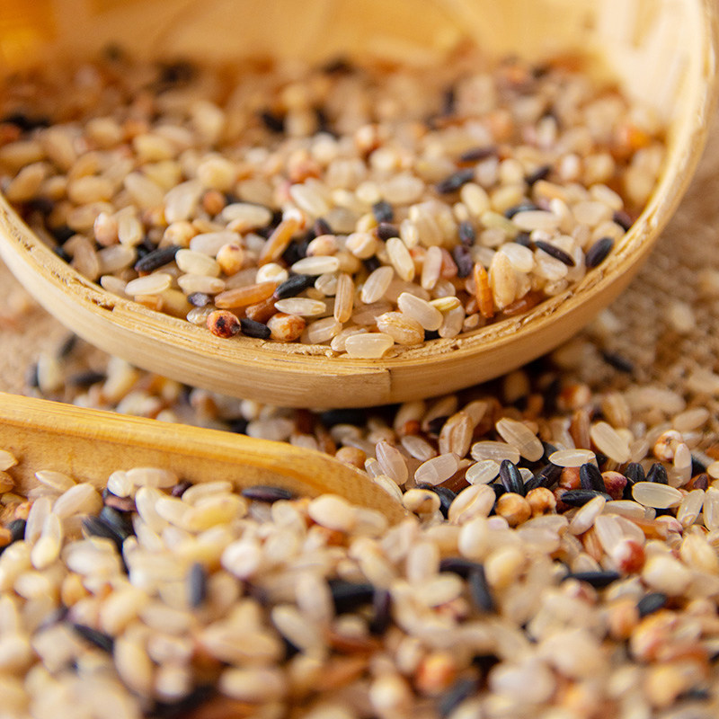 东北五色糙米新米5斤农家五谷杂粮组合孕妇粗粮糙米