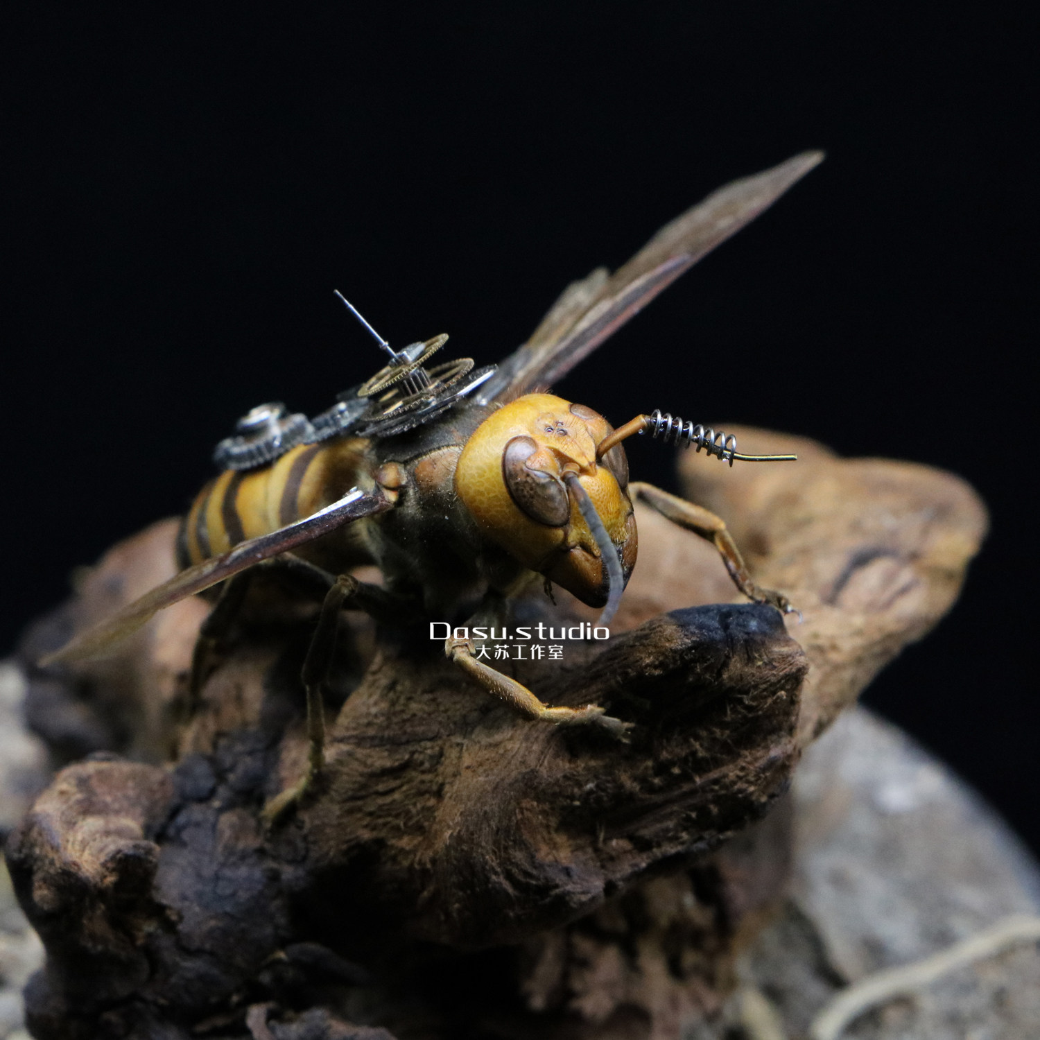 大苏工作室蒸汽朋克昆虫机械改造虎头蜂标本摆件摆件