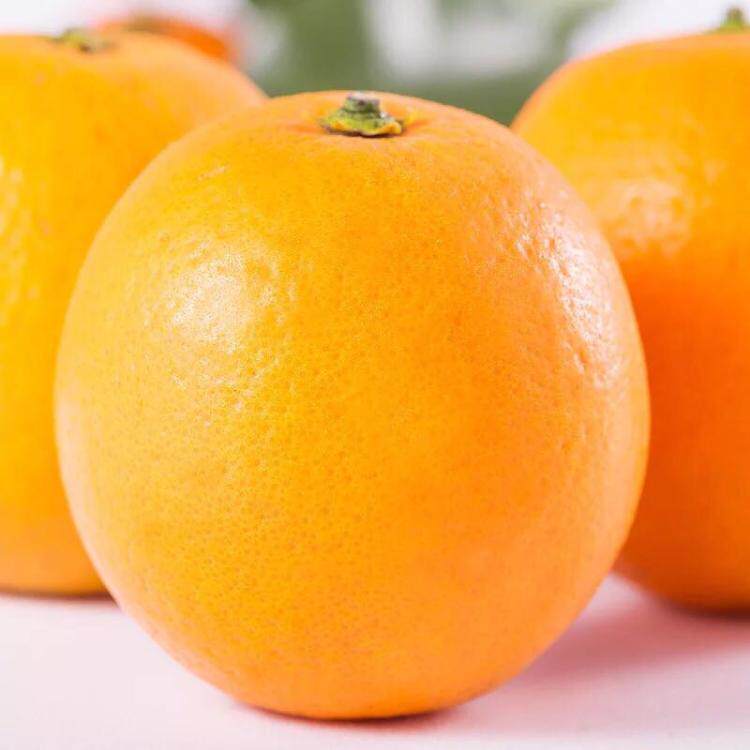 蜜橙脐橙冰糖5斤甜橙无酸纯甜橙子蜜香广西橙