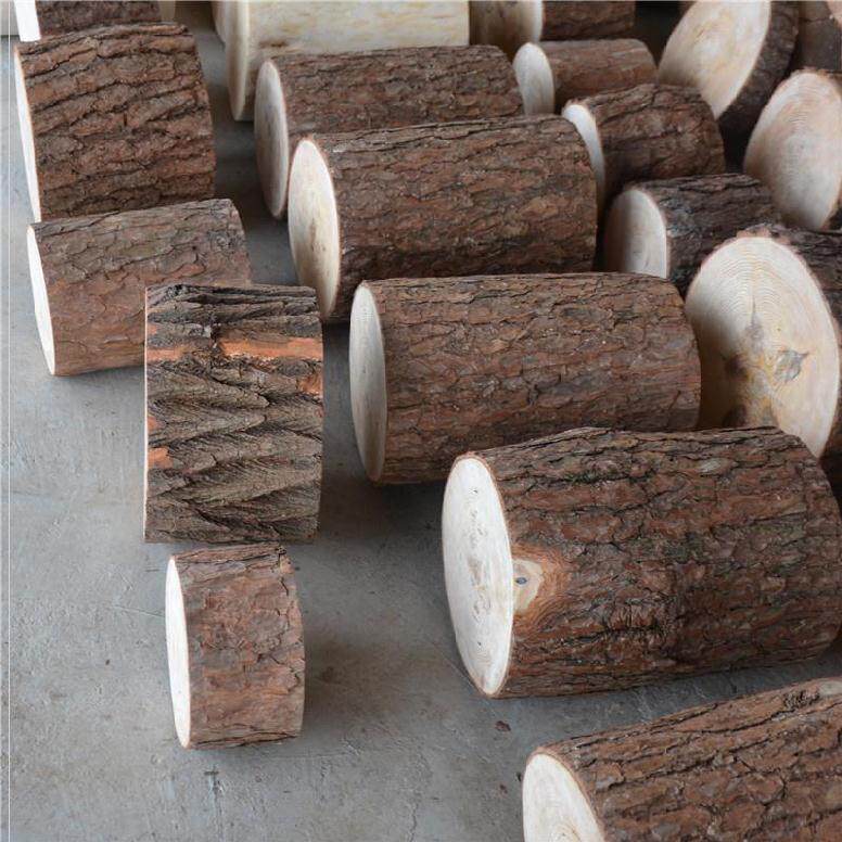 木桩墩子原木树桩梓木板凳茶桌木头凳子实木根雕凳子