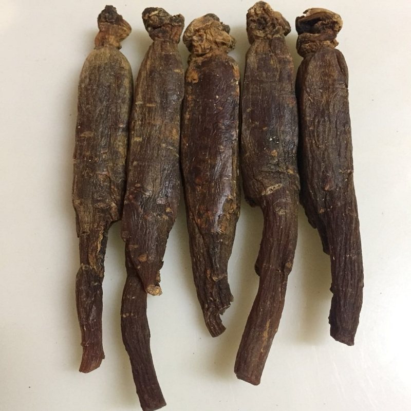 康美新开河人参 高丽参 红参25-28支装6年老参纯无糠100克包邮