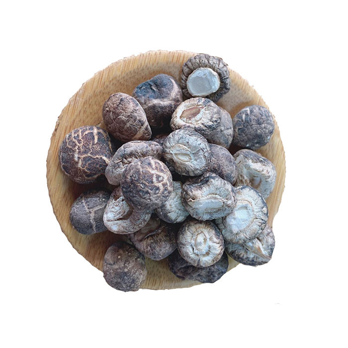 【新品特惠】干货小香菇仔丁剪根珍珠菇金钱菇鲜嫩厚肉不开伞500g