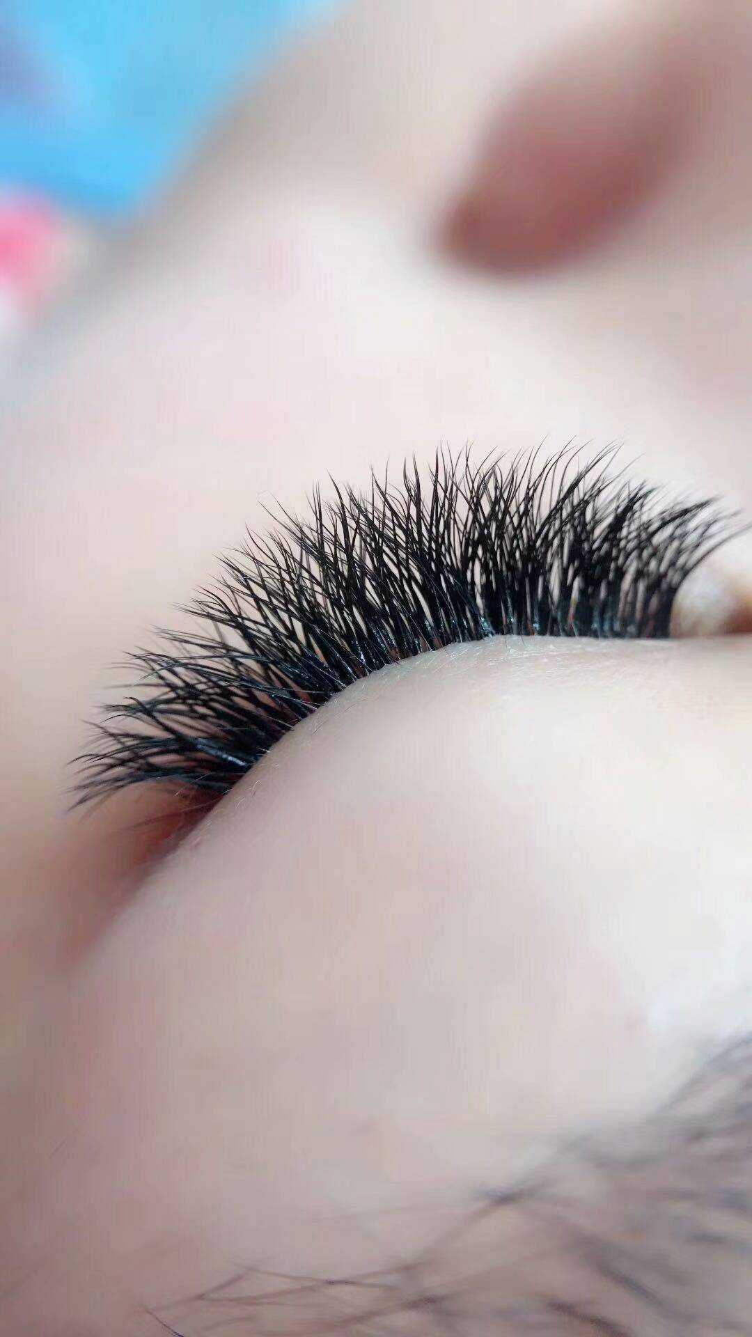 睫毛yy爱情网dly一往情深郁金香12排不散自然柔软化妆