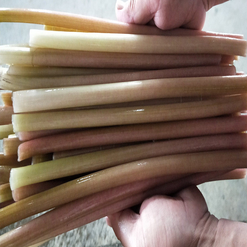 新鲜鸡头实梗湖北特产梗芡蔬菜米刺梗欠三斤其它