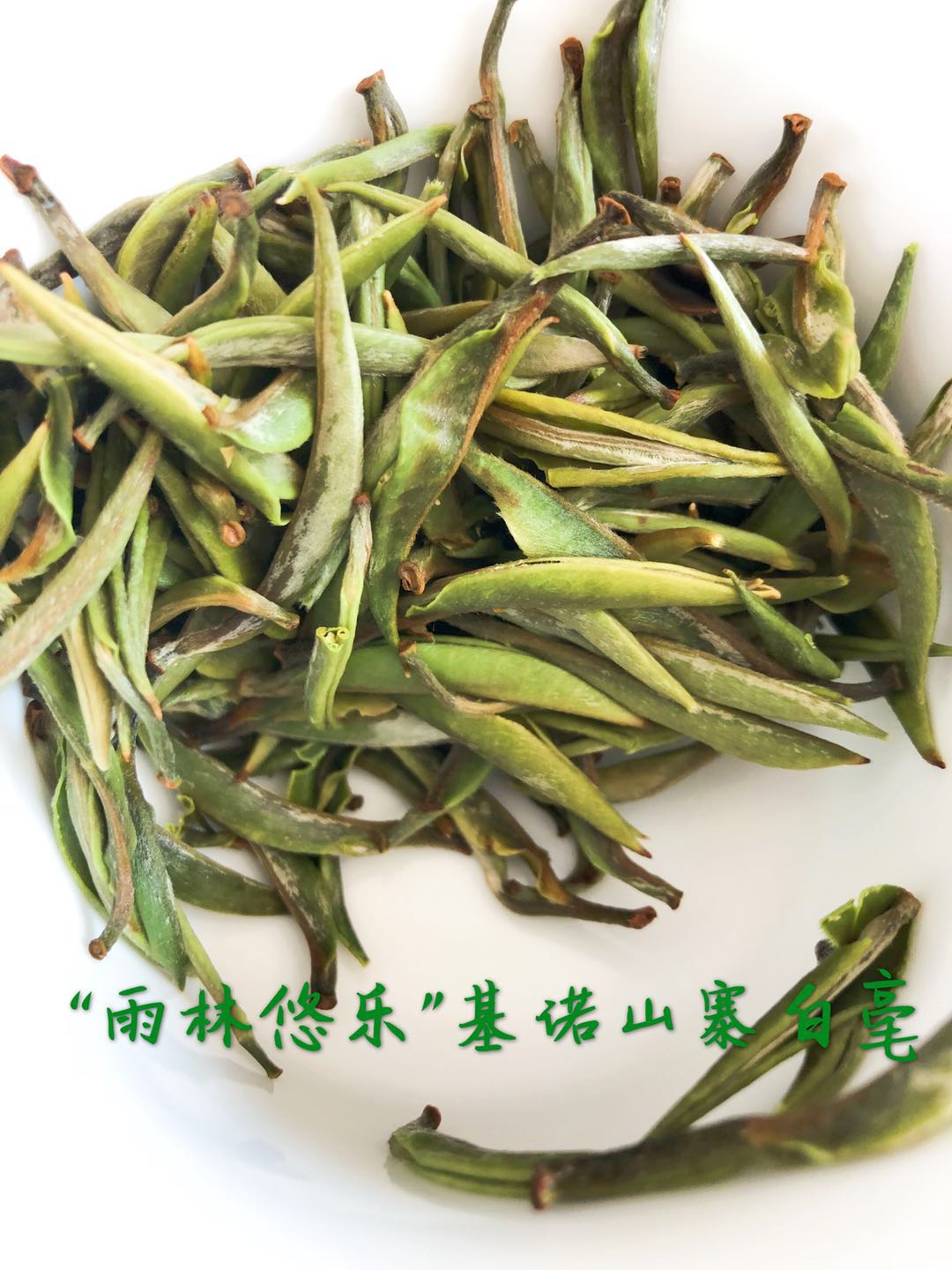 雨林悠乐基诺山寨普洱茶白茶生2020头春茶普洱