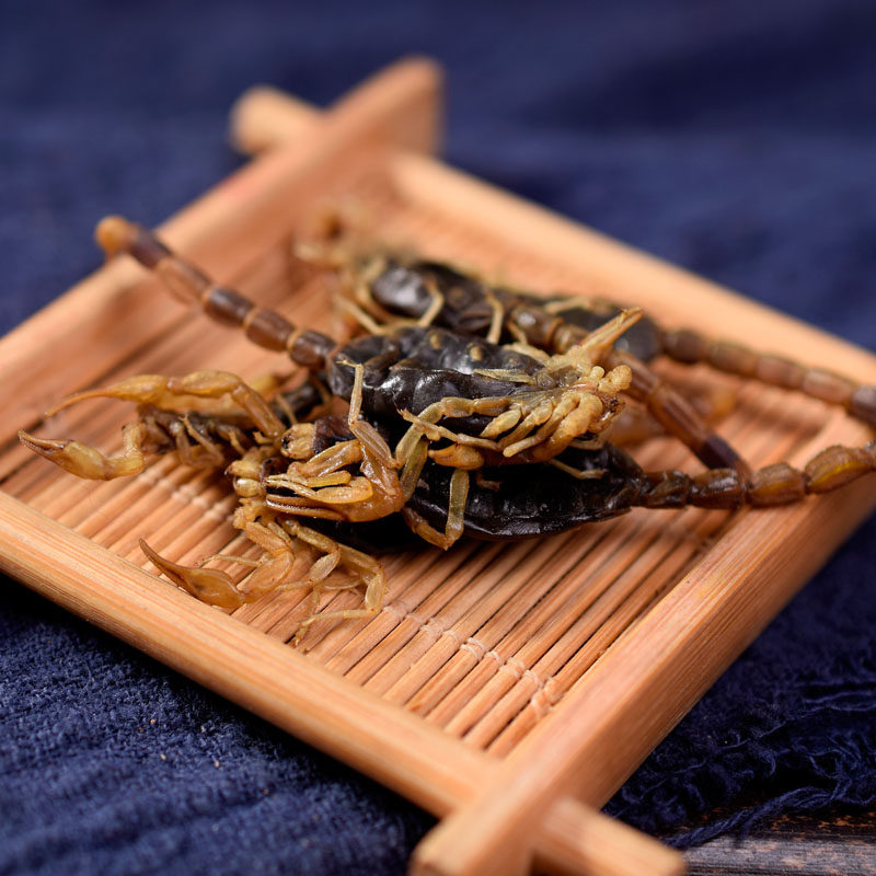 中药材全蝎蝎子全虫清水干货100克店内有水蛭蜈蚣包邮