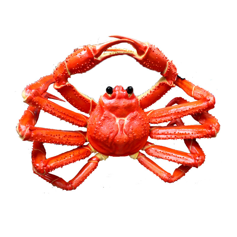 大型假帝王蟹模型螃蟹松叶蟹道具摆放膏蟹面包蟹仿真海鲜模型雕塑