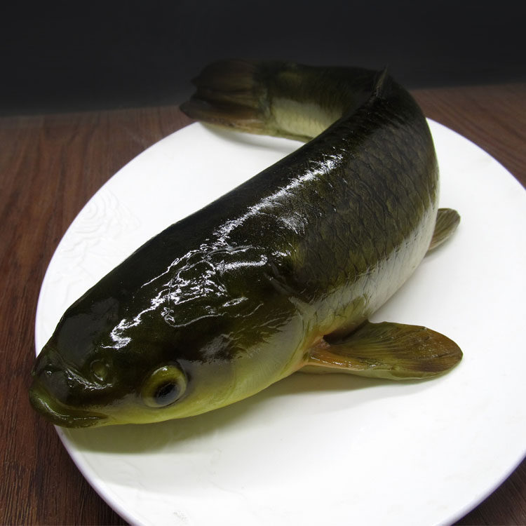 模型仿真食物菜品假样生鲤鱼海鲜餐厅海鲜鱼供品仿真水果