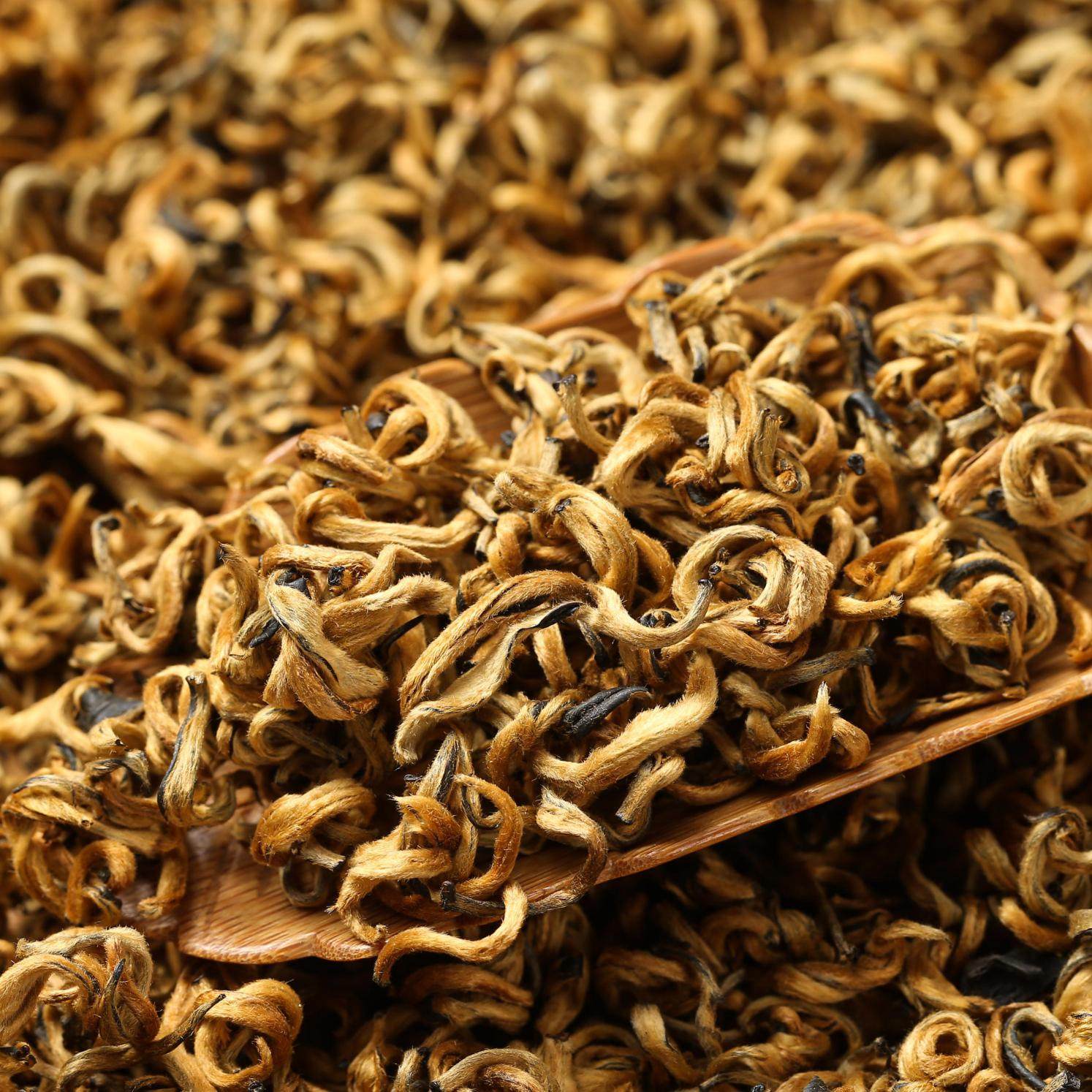 滇红蜜香红茶大金特级花香凤庆云南金芽袋装滇红