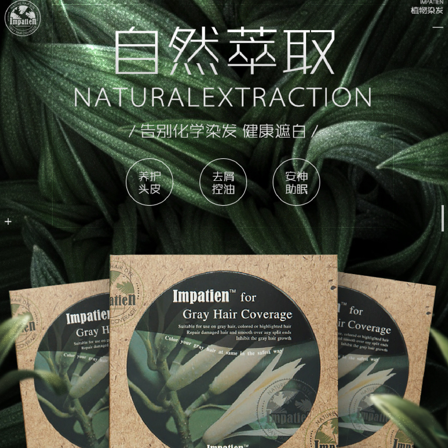 买二赠一 以色列 impatien 植物染发剂染发黑遮盖白发去屑控油
