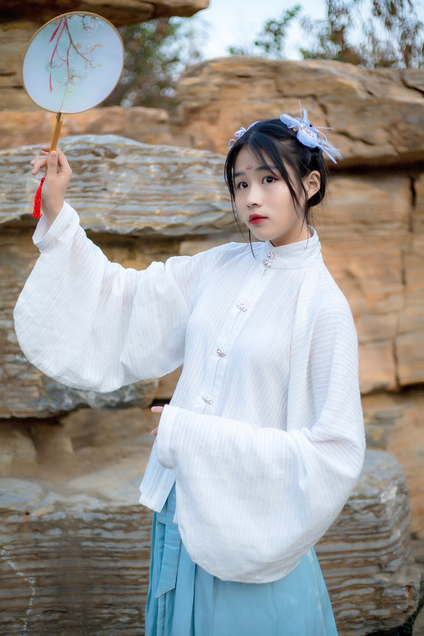 汉服立领对襟琵琶长袖明制内搭提花日常汉族汉服