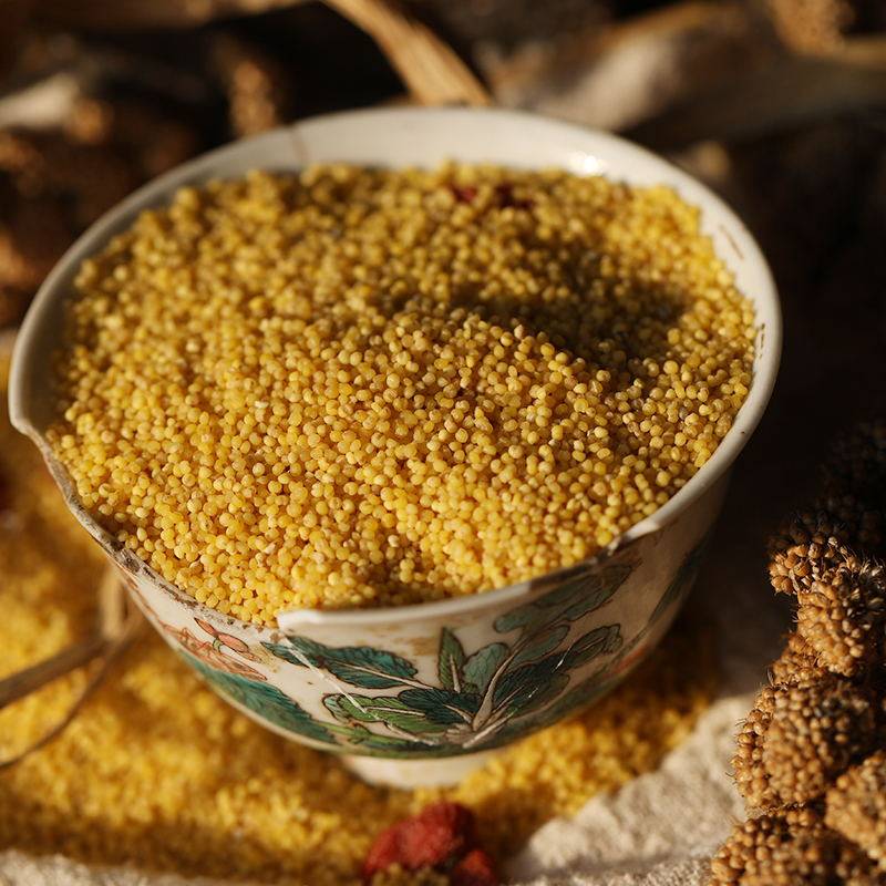 小米陕西特产陕北黄小米山区榆林延安1000克小米