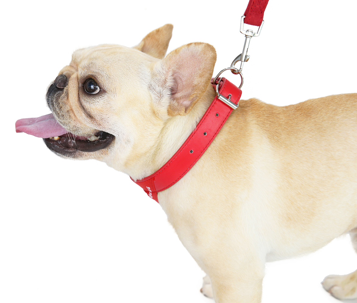 狗狗项圈小型泰迪博美柯基铃铛法斗口水猫咪项圈