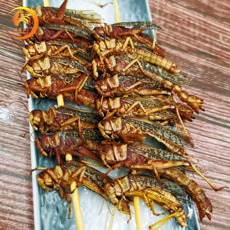 蚂蚱烧烤油炸食材蝗虫冷冻半成品家庭商用网红其它生肉制品