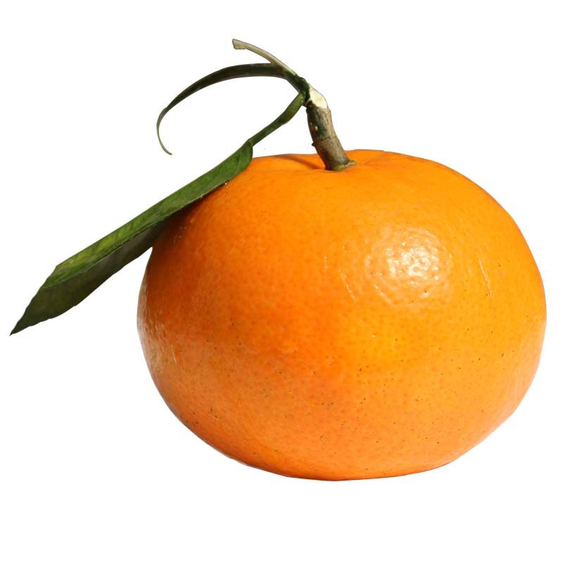 广西皇帝柑大新鲜正宗现摘贡柑应季水果桔子桔子