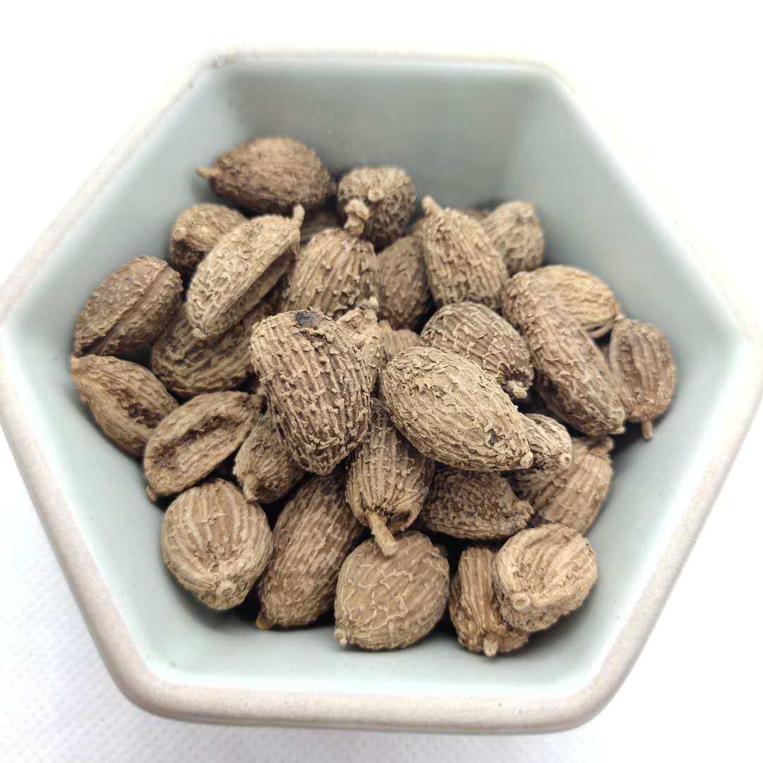 砂仁中药材茶养中药香砂沙仁倪海用药方用药250克其他药食同源食品