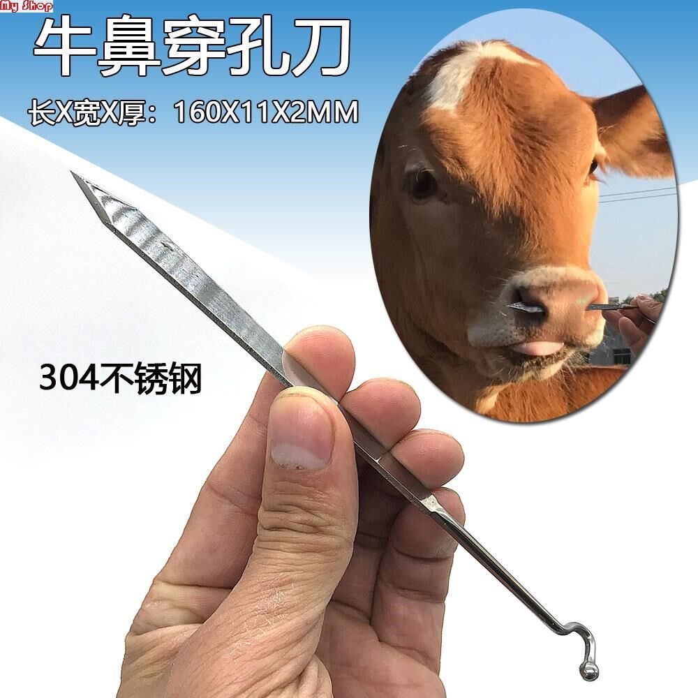牛鼻畜牧养殖器械不锈钢牛鼻子犊牛穿孔刺孔打孔大型畜牧