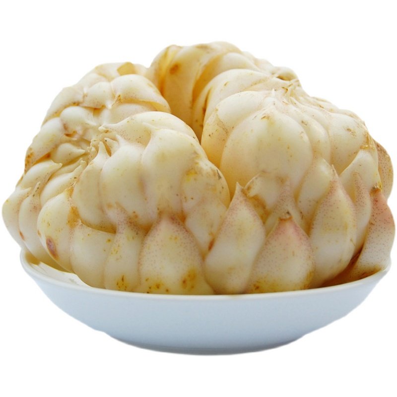 百合湖南龙山新鲜5斤龙牙特大药用食用微苦新鲜百合
