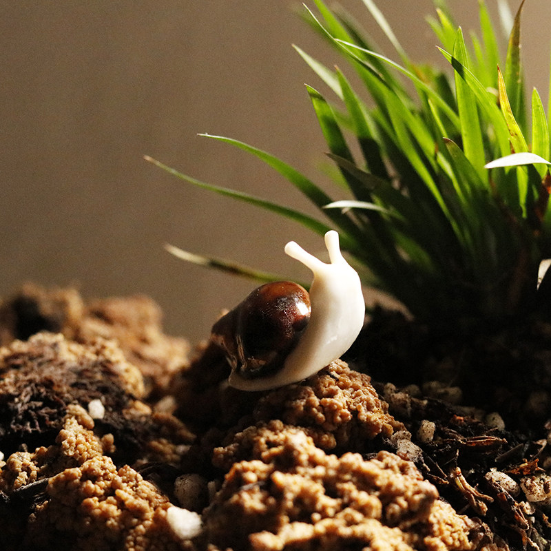 蜗牛茶道迷你装饰品家居装饰家居陶瓷摆件茶宠创意茶宠摆件