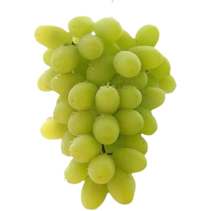 葡萄白马奶水果顺丰6斤整箱提子超甜当季新鲜葡萄