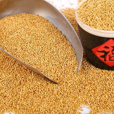 新黄谷子带壳小米谷子虎皮玄凤牡丹鹦鹉鸟食饲料鸟粮