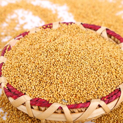 新黄谷子带壳小米谷子虎皮玄凤牡丹鹦鹉鸟食饲料鸟粮食物粮食5斤