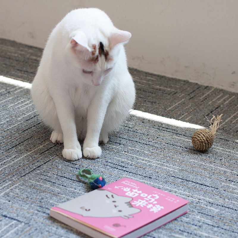 【赠贴纸及明信片】正版 喵呜来摸 胖吉猫 i am pusheen the cat