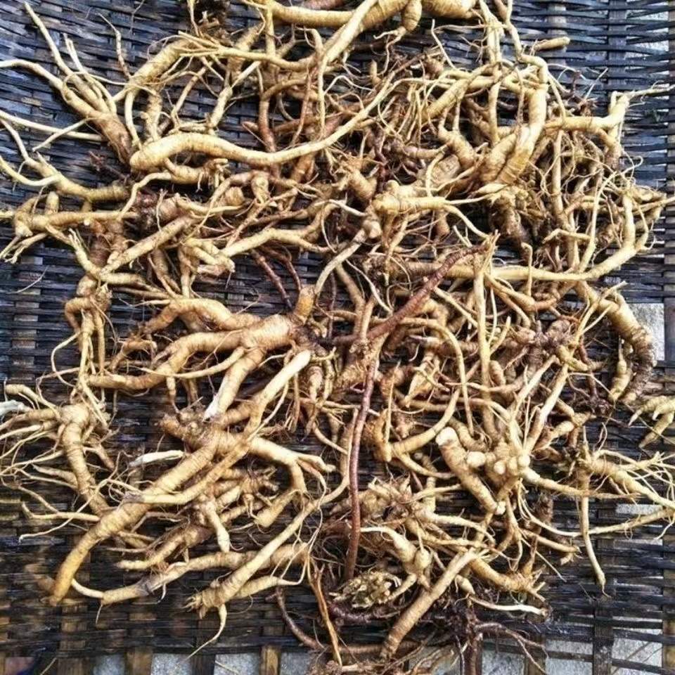 雾水葛根糯米藤根捆仙咄脓草药纯根500g包邮其他药食同源食品