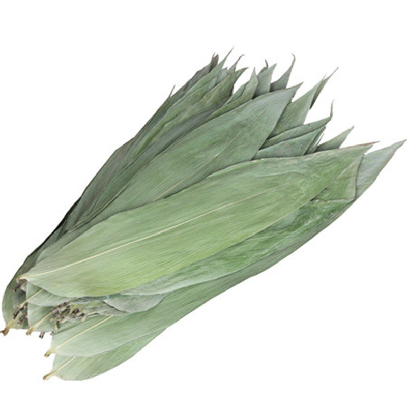 粽叶子 粽子叶 端午干粽叶 农家大粽叶新鲜野生晒干100张免邮