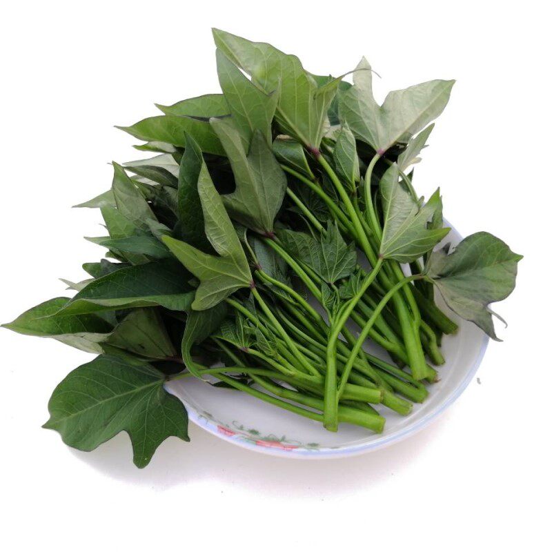 3斤嫩尖薯尖包香滑叶香滑山芋无渣新鲜红苕蔬菜其它