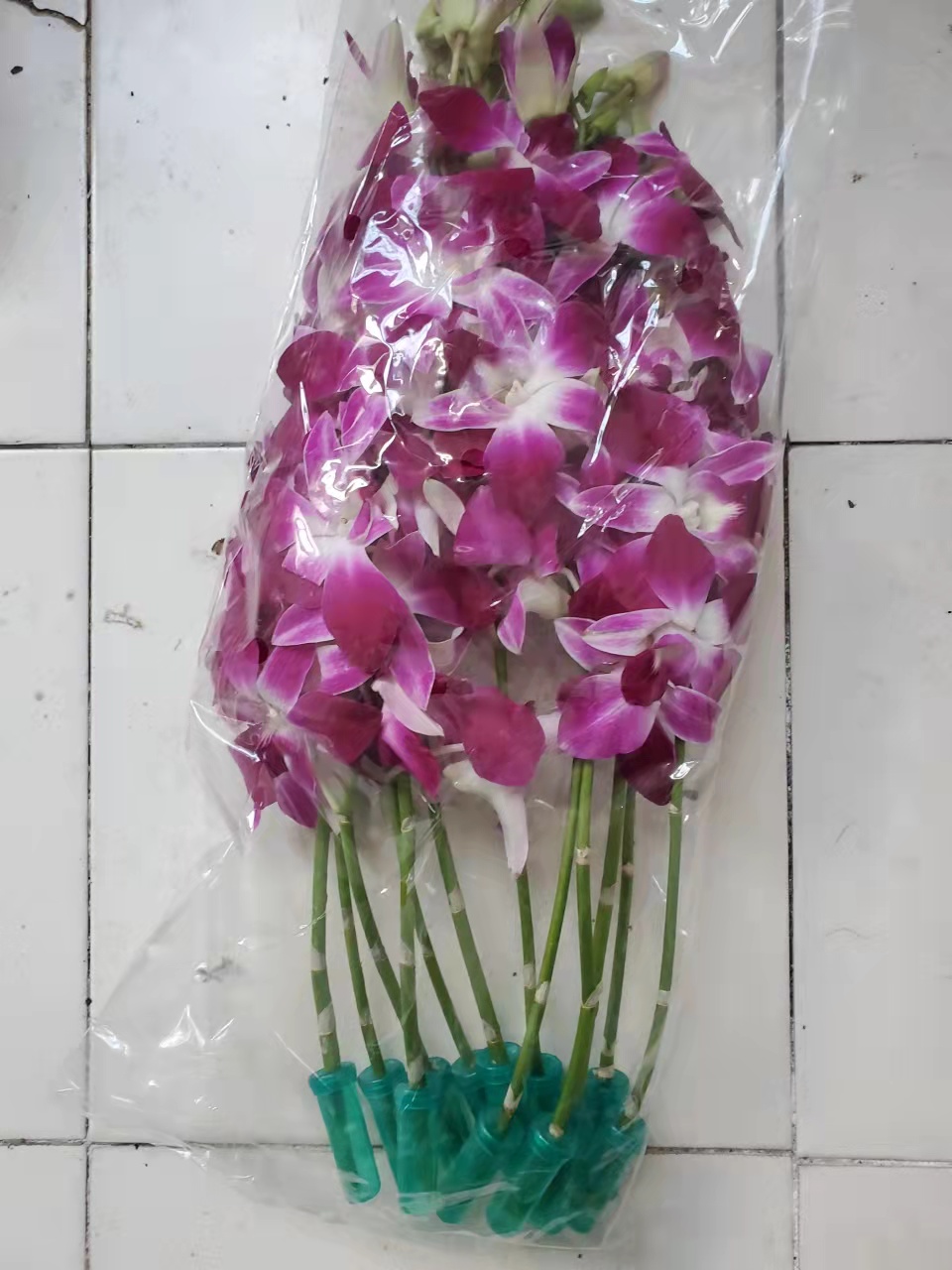 兰花新鲜杨兰花蝴蝶兰石斛饭店拼盘装饰用180250g其它