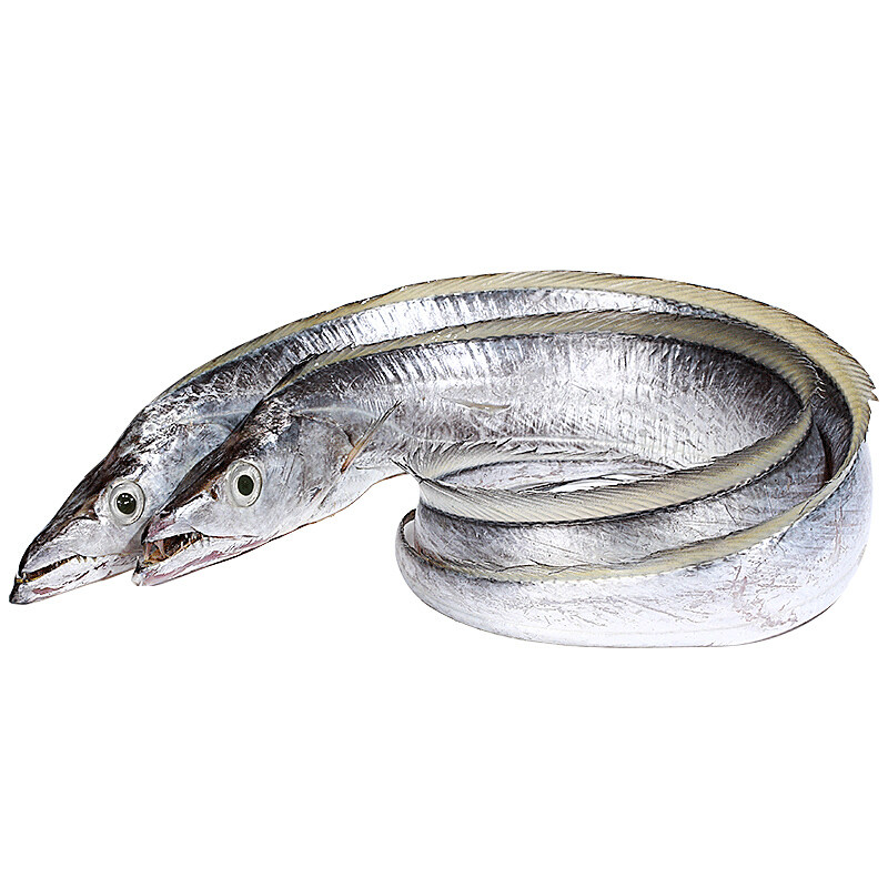 当天涠洲冰鲜水产鲜活刀鱼超大岛海新鲜急冻带鱼