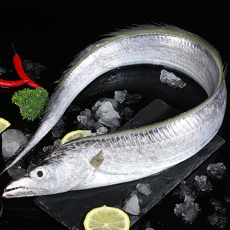 当天涠洲冰鲜水产鲜活刀鱼超大岛海新鲜急冻带鱼