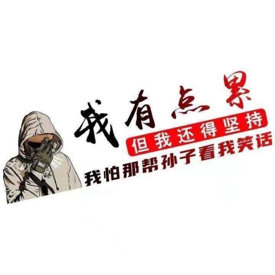 车贴我有有点我得坚持抖音励志个性创意装饰汽车装饰贴