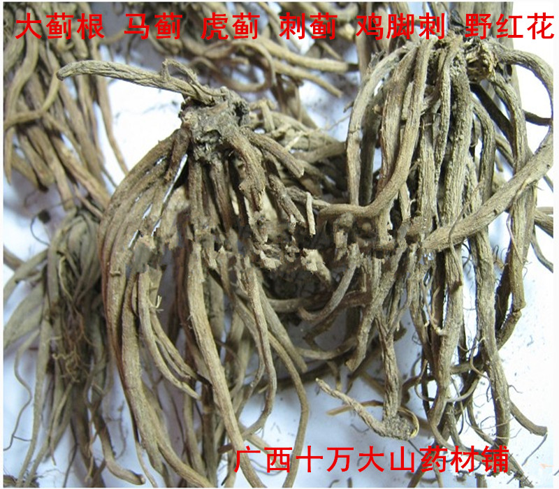 野生中药材大蓟根 马蓟 虎蓟 刺蓟 鸡脚刺 野红花 山牛蒡 鸡项草