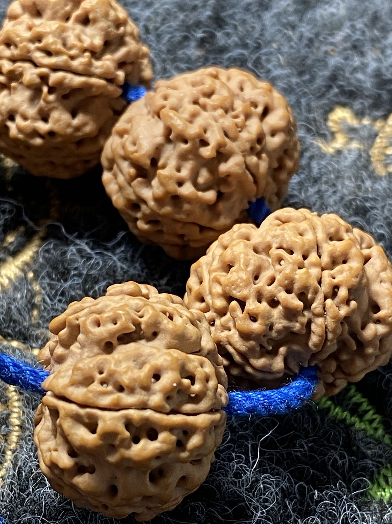 蜂王药王籽尼泊尔大金刚菩提手串单圈矮桩平头五星蜂王梅花桩