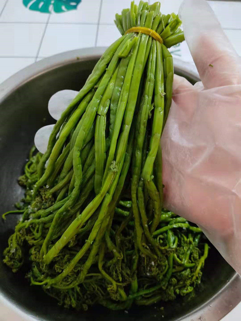 蕨菜内蒙赤峰克旗特产山野菜野生东北农家纯天然腌制