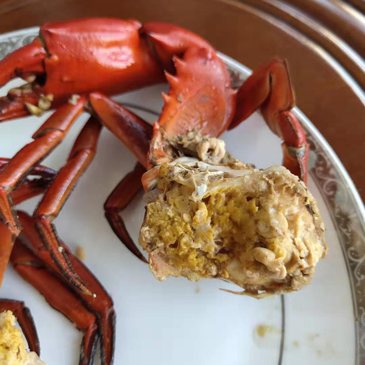 野生孟加拉螃蟹全母膏蟹缅甸鲜活肉蟹羔泥蟹迷青蟹