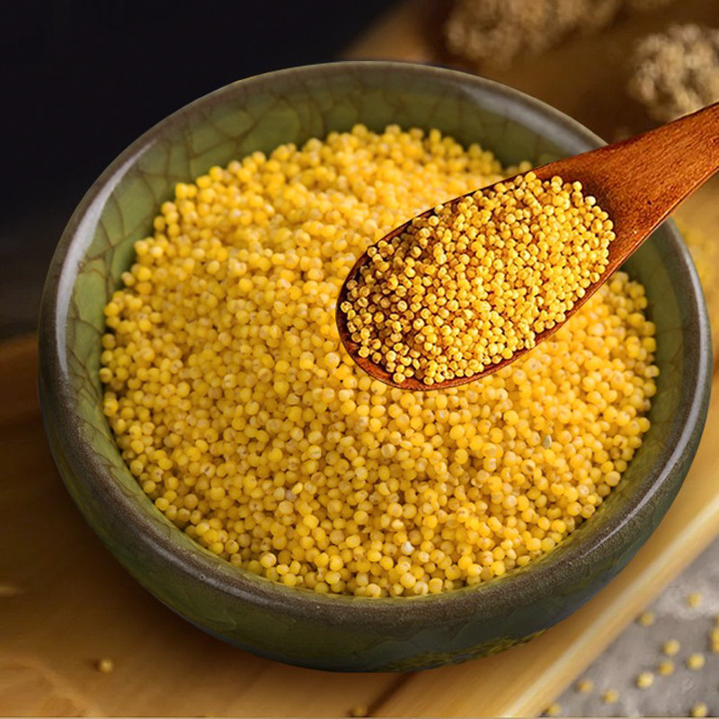 黄小粗粮月子辅食食用宝宝婴儿杂粮5斤米粥小米